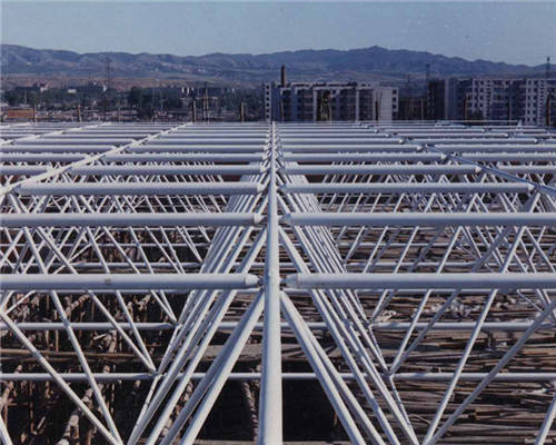 阜新梅雪啤酒廠包裝車間網(wǎng)架